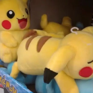 Meet your Posher, Alison